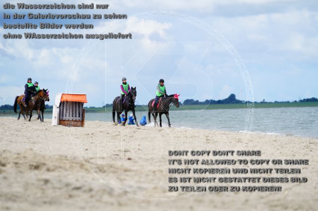 s_K3F05132.JPG